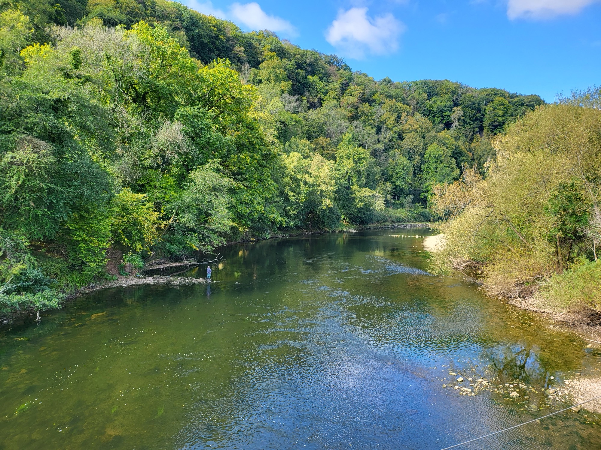 A scenic view of the River Wye from the suspension bridge at Biblins in the Forest of Dean. The river flows gently through lush green woodland, with trees in various shades of green covering the hills on either side. A person is seen standing on a rocky outcrop in the shallow part of the river, possibly fishing. The sky is bright blue with a few white clouds, and sunlight filters through the trees, highlighting the natural beauty of the landscape.