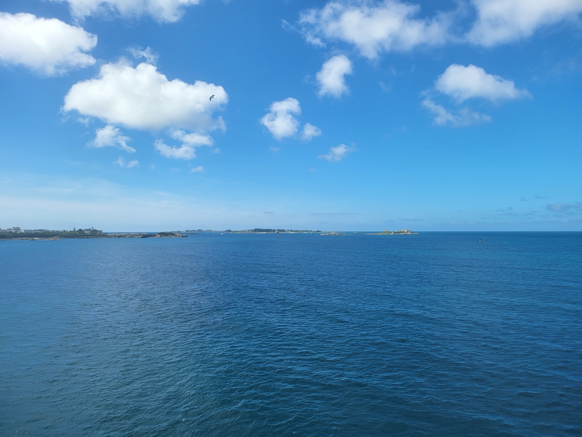 A bright blue ocean stretches across the image, with gentle ripples on the water’s surface. The sky is mostly clear with a few fluffy white clouds scattered throughout. In the background, a distant shoreline with low-lying buildings and rocky outcrops is visible, likely part of Roscoff, France. A small island or sandbank is seen further out in the water. A lone bird soars in the sky, adding a sense of movement to the tranquil scene.